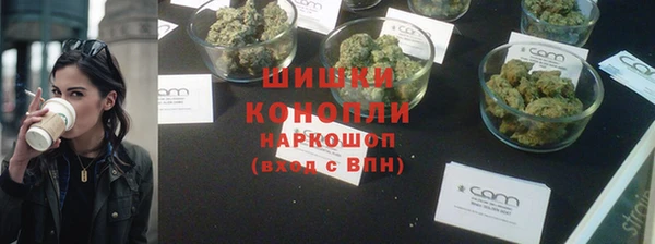 PSILOCYBIN Пролетарск