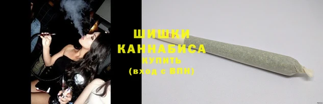 СК Вязники